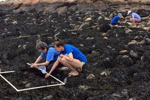 Seaside Sustainability Intern Molly and Francie Caudill of Manchester Coastal Stream Team collect data for Salem Sound Coastwatch Seaside Sustainability Intern Molly and Francie Caudill of Manchester Coastal Stream Team collect data for Salem Sound Coastwatch