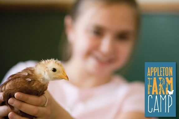 Camp At Appleton Farm is a fun summer adventure for kids in Ipswich Massachusetts! Camp At Appleton Farm is a fun summer adventure for kids in Ipswich Massachusetts!