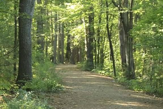 Explore the history of Breakheart Reservation while learning about the stone artifacts found on site. Explore the history of Breakheart Reservation while learning about the stone artifacts found on site.