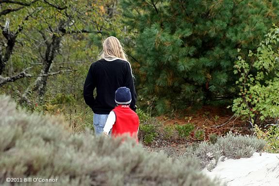 Hike the coastal forest with your child on this parent child walkabout at Joppa Flats Education Center in Newburyport! Hike the coastal forest with your child on this parent child walkabout at Joppa