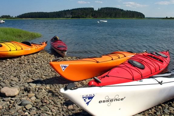 Families with kids aged 10 and up can explore the Crane Wild Life refuge on a guided kayak tour! Families with kids aged 10 and up can explore the Crane Wild Life refuge.