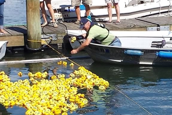 The Danvers Kiwanis Annual “Rubber Duck Race” raises money for scholarship funds for local college students The Danvers Kiwanis Annual “Rubber Duck Race” raises money for scholarship funds for local college students
