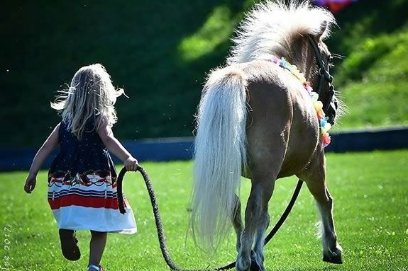 The Donkey Derby at Myopia Hunt Club in Hamilton is a fun way to raise funds for the equine rescue network! The Donkey Derby at Myopia Hunt Club in Hamilton is a fun way to raise funds for the equine rescue network!