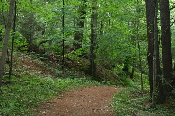 Come learn the trails of Linebrook Woods with ECGA during Trails & Sails 2019 Come learn the trails of Linebrook Woods with ECGA during Trails & Sails 2019