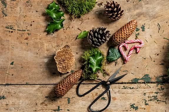 DIY Holiday Centerpiece Workshop at Camp Kent in Amesbury Massachusetts