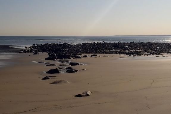 Low tide is the perfect time for tide pooling at Sandy Point Reservation at the tip of Plum Island in Ipswich Massachusetts! Low tide is the perfect time for tide pooling at Sandy Point Reservation!