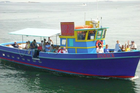 Afternoon Sightseeing Cruise Fall Visit Massachusetts Afternoon Sightseeing Cruise Fall Visit Massachusetts