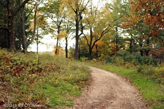 Join Lisa Hutchings from the Joppa Flats Education Center at Maudslay State Park to explore the trails on a Parent & Child Walkabout. Join Lisa Hutchings from the Joppa Flats Education Center at Maudslay State Park