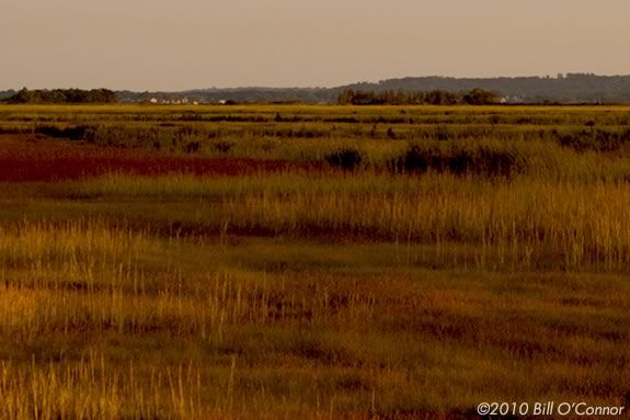 Explore Parker River Wildlife Sanctuary with your family and Mass Audubon naturalists! Explore Parker River Wildlife Sanctuary with your family and Mass Audubon!