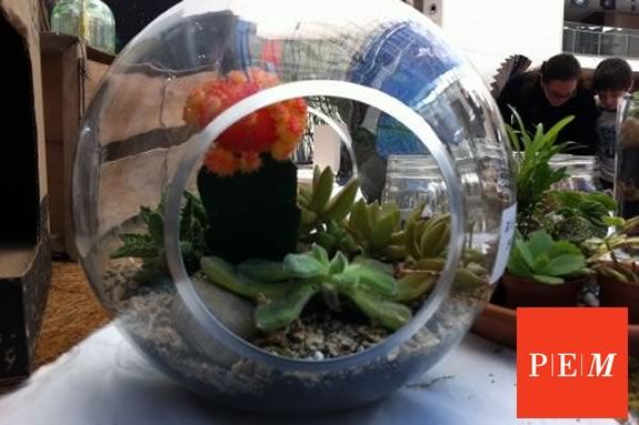 Peabody Essex Museum hosts a free terrarium workshop for Trails and Sails 2016! Peabody Essex Museum hosts a free terrarium workshop for Trails and Sails 2016!