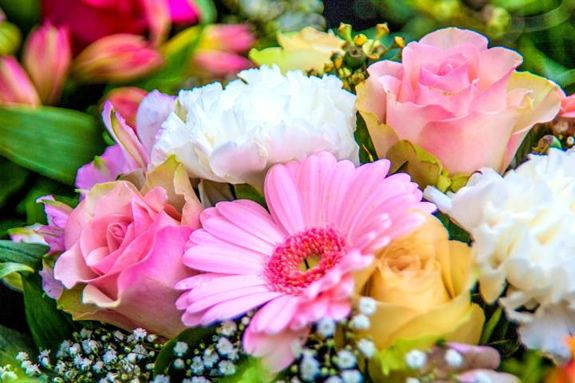 Flower Pop at MarketStreet Lynnfield Flower Pop at MarketStreet Lynnfield
