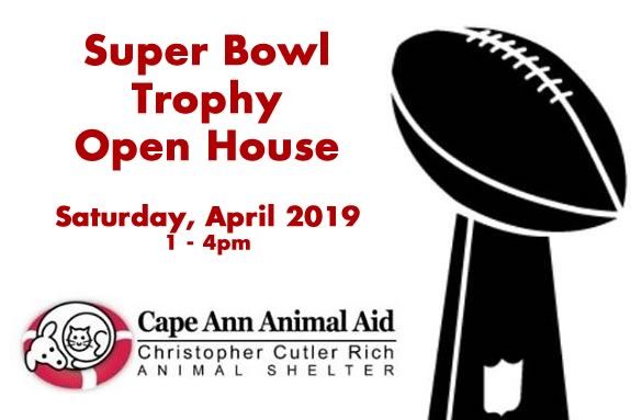Come to the Super Bowl Trophy Open House at the Cape Ann Animal Aid in Gloucester Massachusetts Come to the Super Bowl Trophy Open House at the Cape Ann Animal Aid in Gloucester Massachusetts
