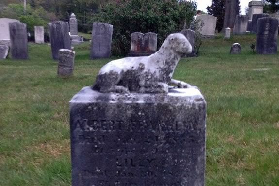 Take this self-guided scavenger hunt at Union Cemetary in Georgetown as part of Trails and Sails! Take this self-guided scavenger hunt at Union Cemetary in Georgetown as part of Trails and Sails!