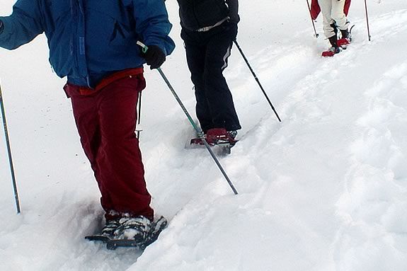 This will be a snowshoe excursion if it ever snows! Other wise this will just be a hike! If it ever snows, this will be a great exploration of IRWS on snowshoes!