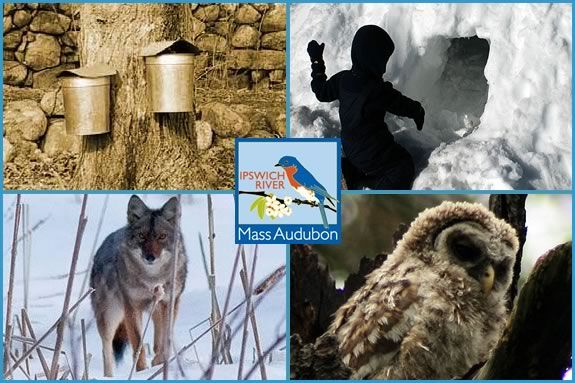 Sign up for one or all days of February Vacation Activities at Mass Audubon's Ipswich River Wildlife Sanctuary in Topsfield! Sign up for one or all days of February Vacation Activities at IRWS in Topsfield