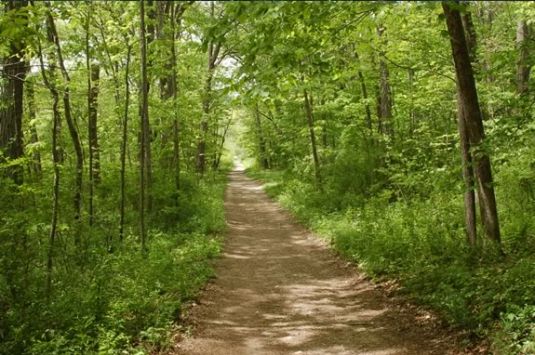 Take a nice n' easy stroll at Muadslay State Park with your family in Newburyport Massachusetts!