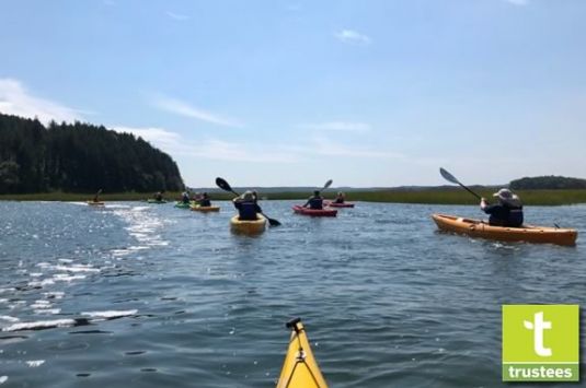 Take a guided kayak paddle adventure on the Castle Neck River with the Trustees of Reservations!
