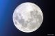 Join the Trustees on a journey up Holt Hill under the light of the full moon at Ward Reservation in Andover!