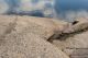 Find out the story behind the history of granite quarrying at Halibut Point State Park in Rockport, Massachusetts!